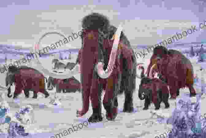 A Herd Of Woolly Mammoths In A Vast Prehistoric Landscape Prehistoric Times Jessica Drake Thomas
