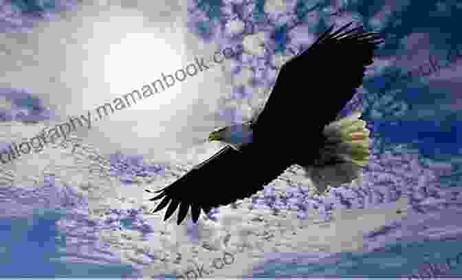 A Majestic Eagle Soaring Through The Sky The Eagle And The Dove