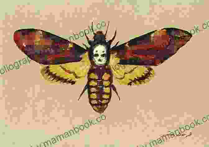 A Painting Depicting A Moth The Significance Of Moths Rose L Colby