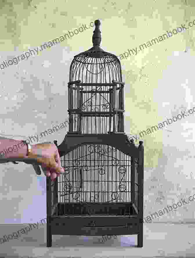A Rusted Metal Birdcage With Several Broken Bars, Containing A Single, Petrified Canary. Selling Dead People S Things: Inexplicably True Tales Vintage Fails Objects Of Objectionable Estates