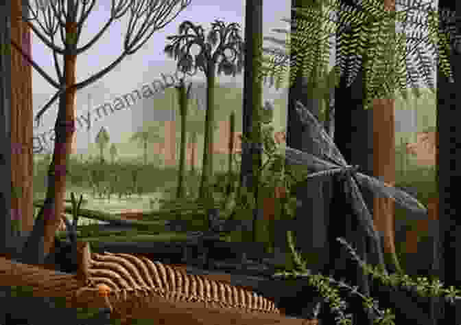 A Scene From The Paleozoic Era, With Lush Forests And Giant Insects Prehistoric Times Jessica Drake Thomas
