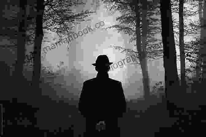 A Silhouette Of A Mysterious Lover Shrouded In Darkness Mysterious Lover (Crime Passion 1)