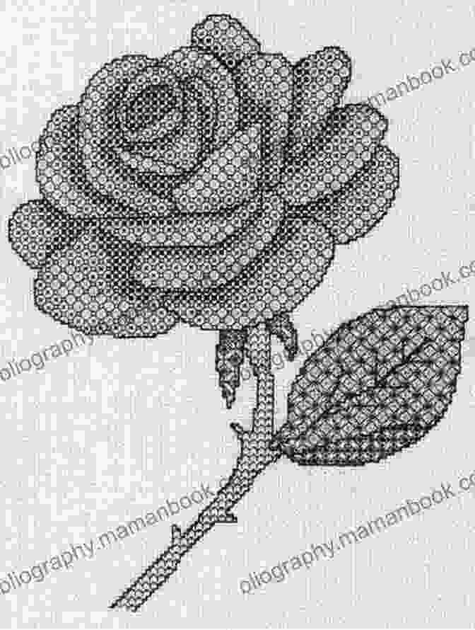 Detailed View Of The Blackwork Rose Pattern. Blackwork Rose Coloured Blackwork Pattern