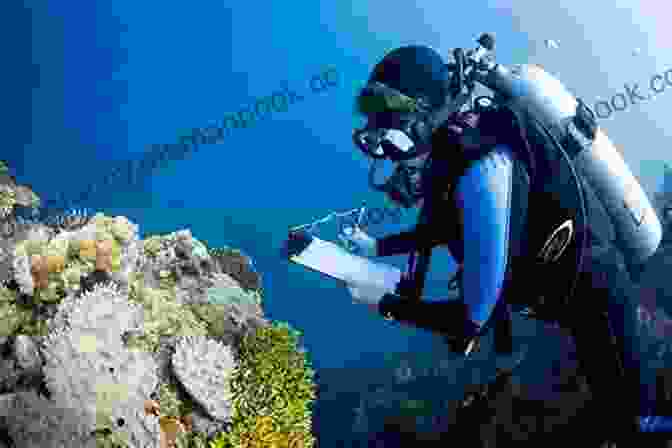 Image Of A Group Of Scientists Conducting Research On A Coral Reef. The Blue Absolute Aaron Shurin