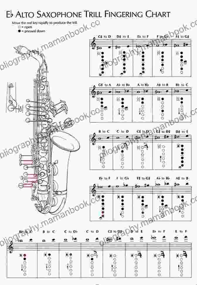 Notated Alto Saxophone Part 5 Easy Blues Alto Saxophone Piano (Piano Parts) (5 Easy Blues For Alto Sax And Piano 2)