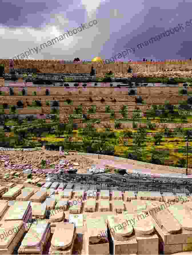 The Old City Of Jerusalem, A Melting Pot Of Cultures And Religions The Rock: A Tale Of Seventh Century Jerusalem (Vintage International)