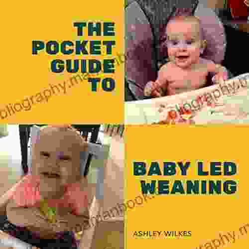 The Pocket Guide To Baby Led Weaning